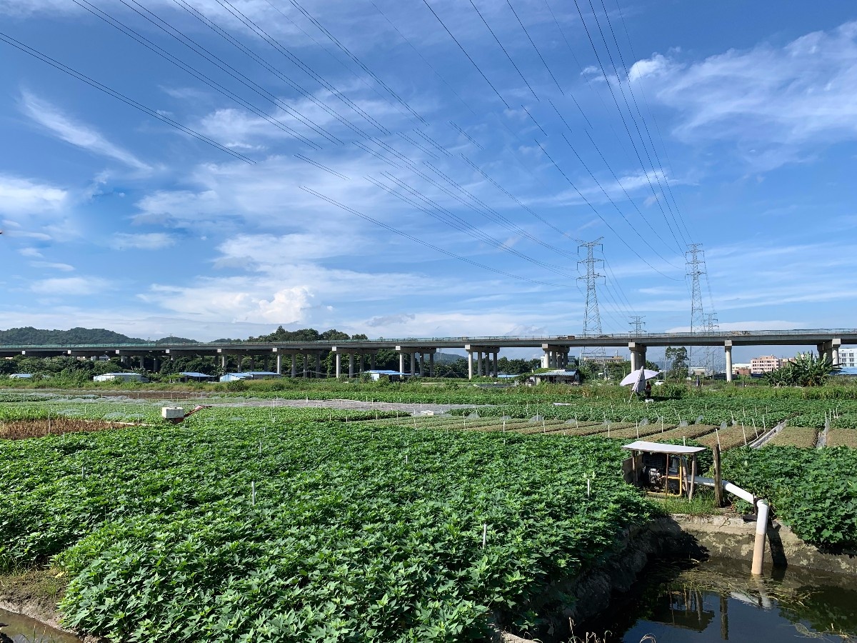微信图片_201908220933264.jpg 微信图片_201908220933264.jpg